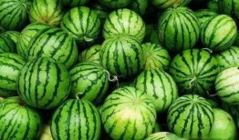 吃瓜网占免费,免费畅享娱乐资讯的绿色通道